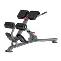 AF-6563 Back Extension with leg support