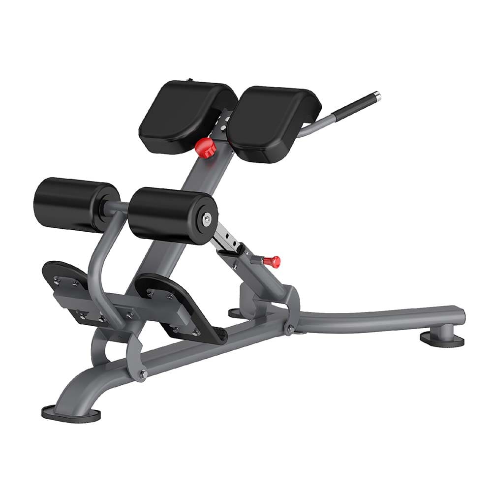 AF-6563 Back Extension with leg support